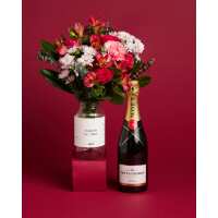 Read LVLY Reviews